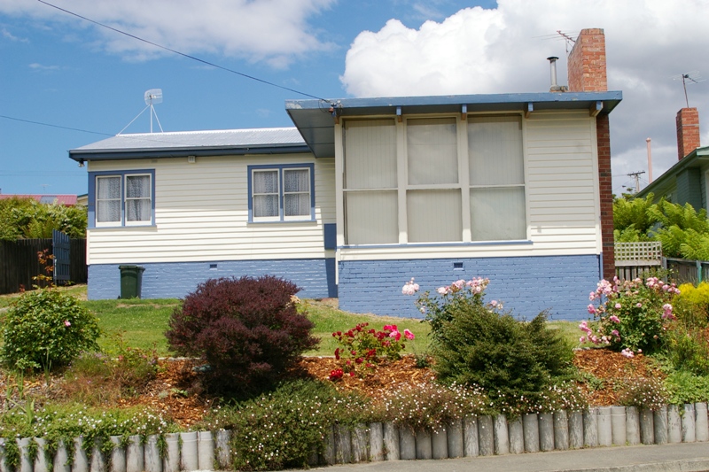 GOOD RENOVATOR Picture 1