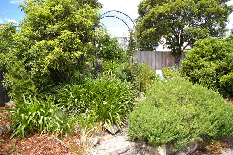 GOOD RENOVATOR Picture 2