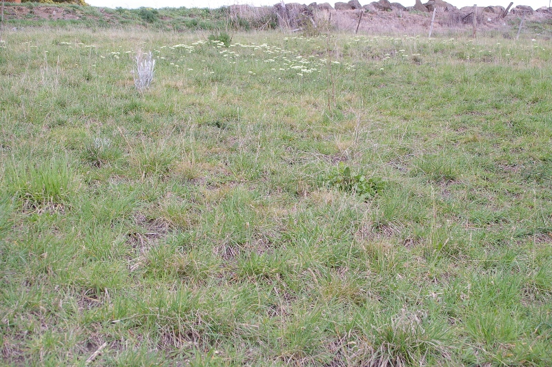 BUILD YOUR FIRST HOME WITH $21,000 BONUS Picture 3