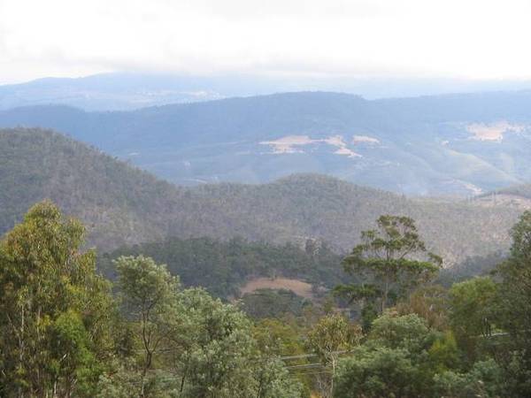 $21,000 BONUS TO BUILD Picture 1