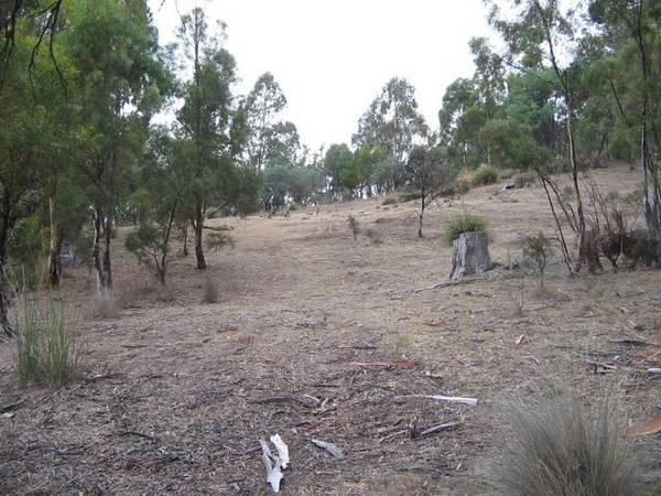 $21,000 BONUS TO BUILD Picture 3