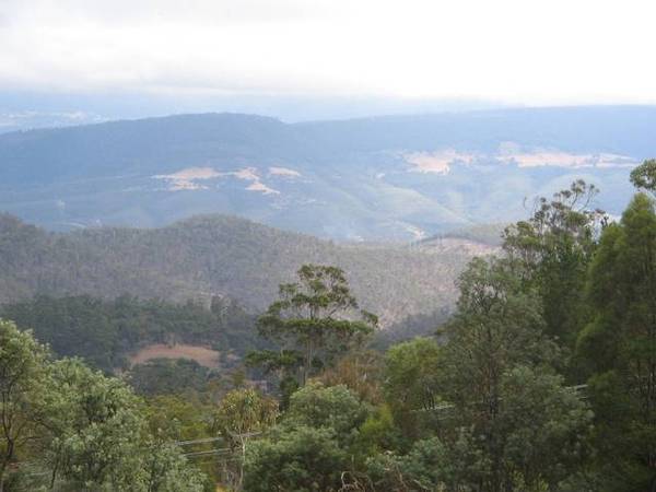 $21,000 BONUS TO BUILD Picture 2