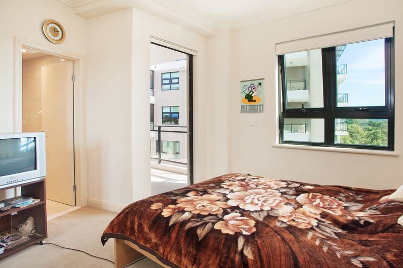 LUXURY APARTMENT - ALL AMENITIES AT YOUR DOOR Picture 3