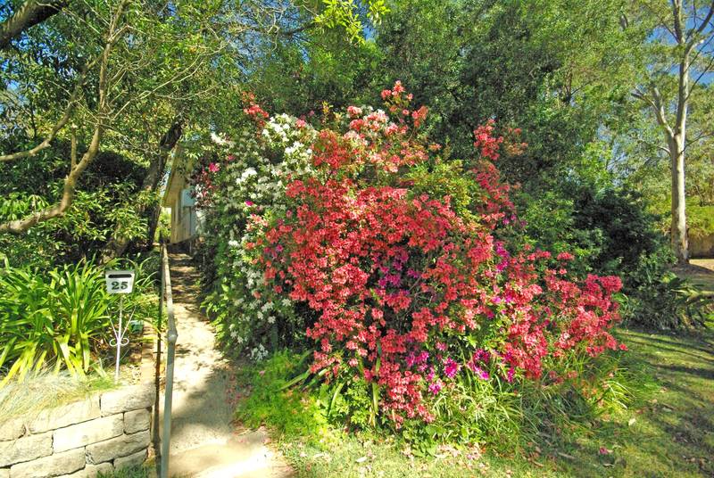 RENOVATE OR REBUILD Picture 1