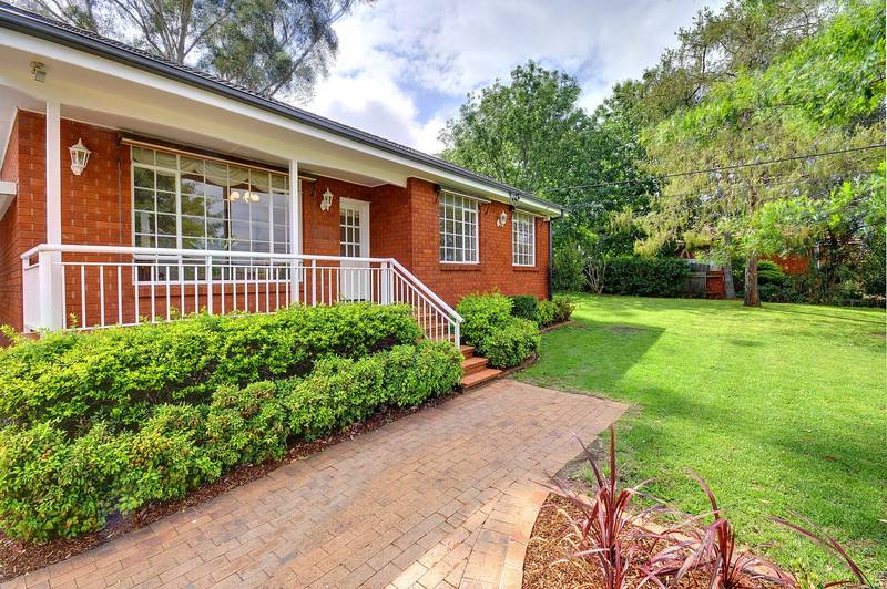 HIGH AND HANDSOME Picture 1