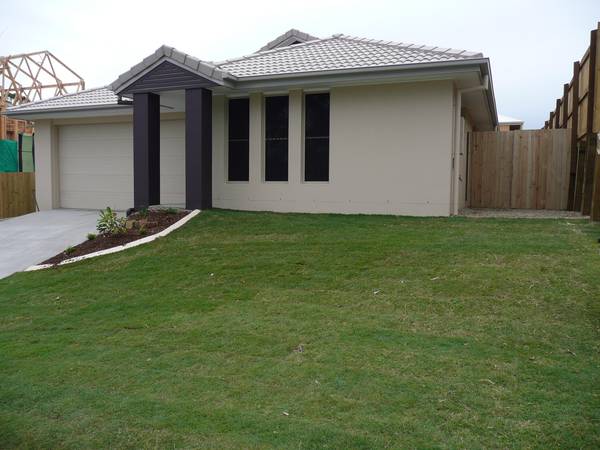 Brand new home Picture 1