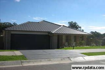 GOONDA Picture GOONDA Picture