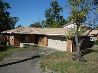 RENOVATORS DELIGHT Picture
