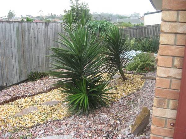 BEST BUYING IN COLLINGWOOD PARK Picture 2