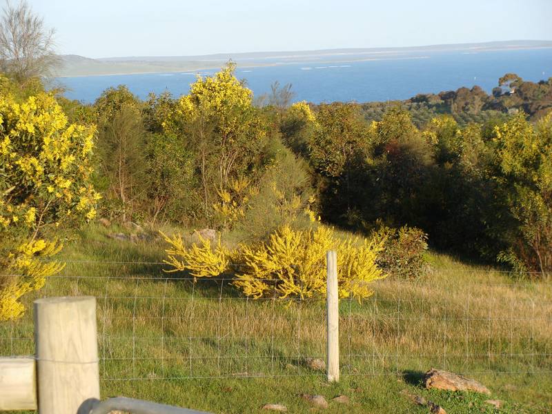 RURAL LOVERS - Sea & Valley Views to Admire Picture 3