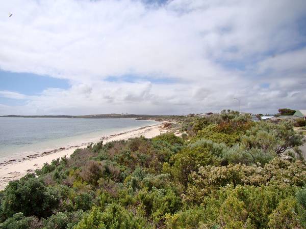 Elliston Treasure goes to AUCTION!! Picture