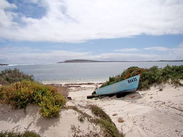 Elliston Treasure goes to AUCTION!! Picture