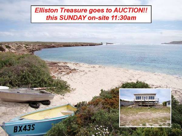 Elliston Treasure goes to AUCTION!! Picture