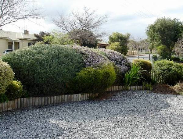 Comfort...Cosy...Convenience Picture 2