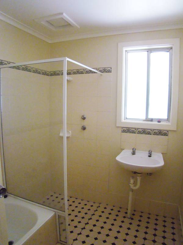 Great Investment or First Starter Picture