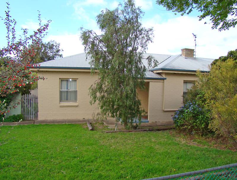 SO MUCH FOR SO LITTLE! Picture 1