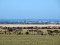 Affordable acreage approximately 7km from the Post Office at Tumby Bay. Picture
