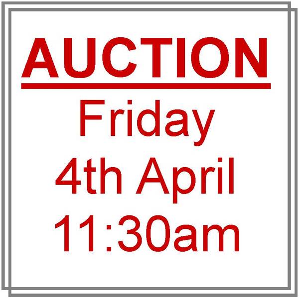 HISTORY FOR SALE Picture 2