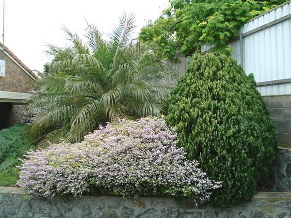 SOUGHT AFTER AREA Picture 3