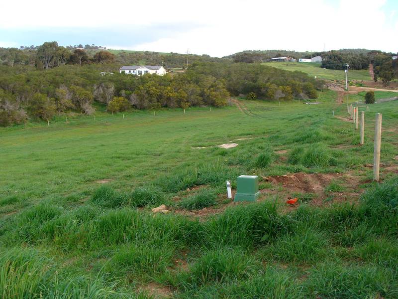 PRICE REDUCED! ENQUIRE TODAY! Private Acres only 7km from Port Lincoln Picture 3