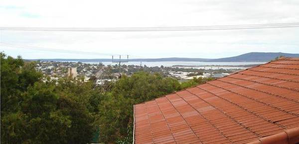 GREAT INVESTMENT Picture 3