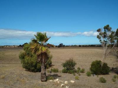 8 ACRE SERVICED ALLOTMENT Picture