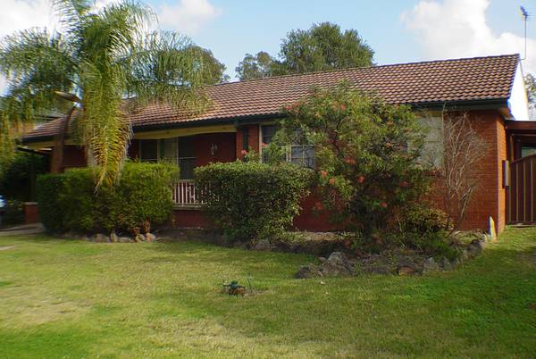 Budget Price! Picture 1