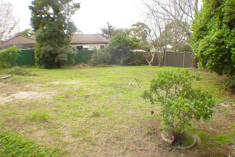 OPEN HOUSE: SUNDAY 10:30 - 10:50AM 3/5/09 Picture