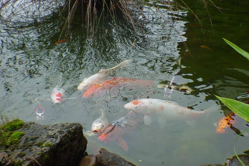 PRICE SLASHED 20 THOUSAND DOLLARS! Picture 3