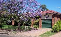 Large Living Areas / Inground Pool Picture