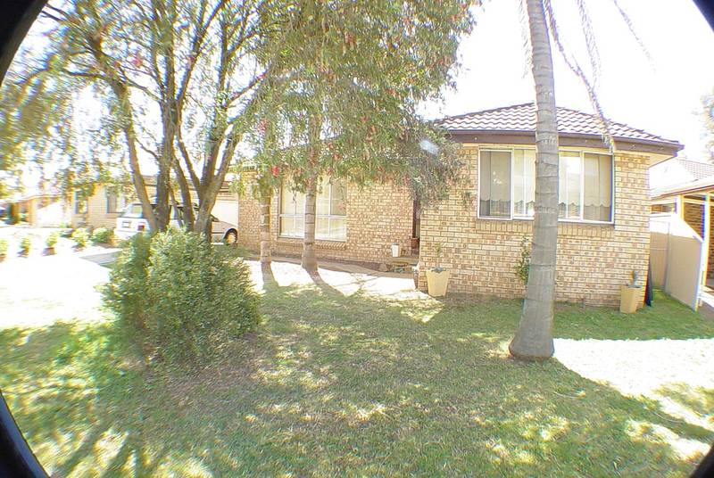 In-Law / Granny Flat Picture 2