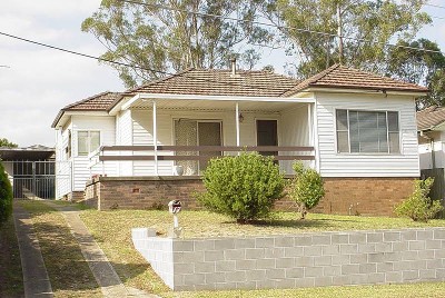 Potential Plus Picture