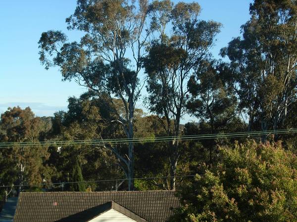 Perched high on the hill Picture 3