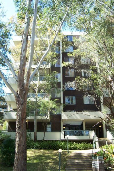 Tree Lined Street Picture 1