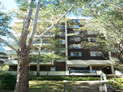 Tree Lined Street Picture