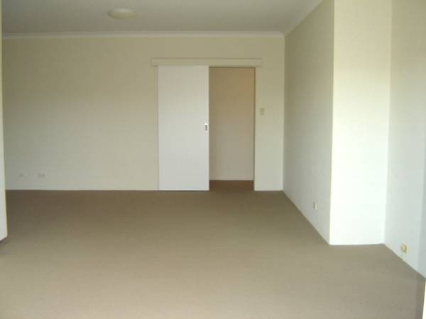 Freshly Painted and Carpeted!!!! Picture 3