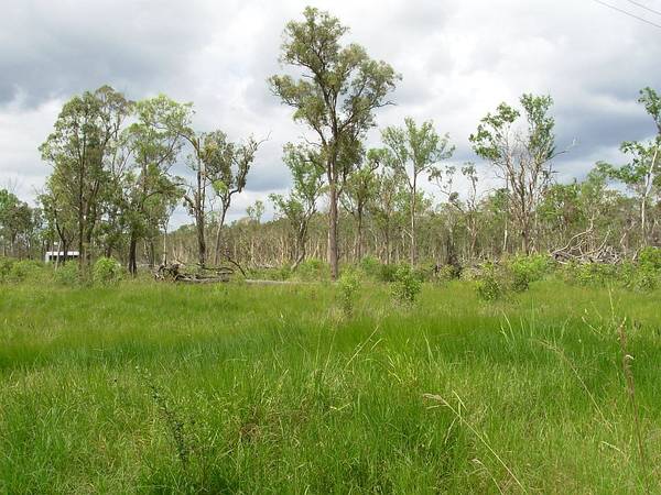 RURAL ACREAGE Picture 1