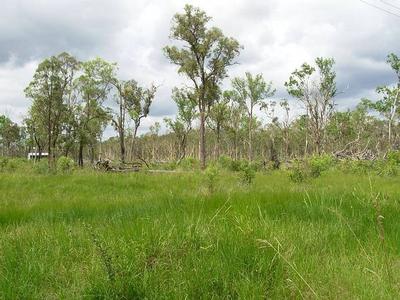 RURAL ACREAGE Picture