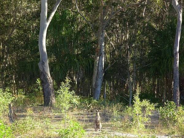 National Parkland Views Picture 2