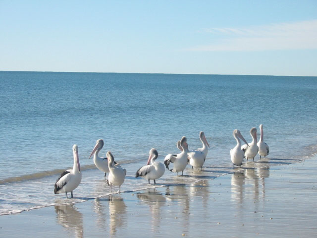 LIVING AT ITS BEST Picture 1