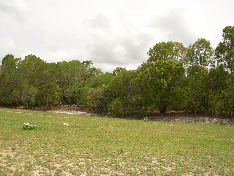 DREAM BLOCK Picture 3