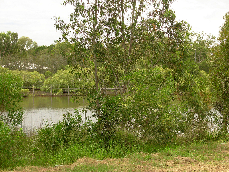 Great Lake Views Picture 1