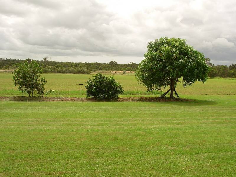 Country Comfort Picture 3