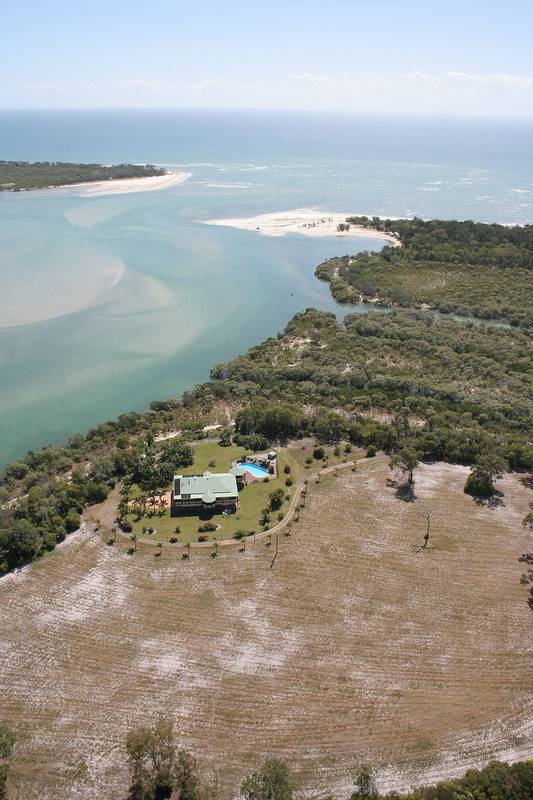 Coastal Blue Chip Picture 1