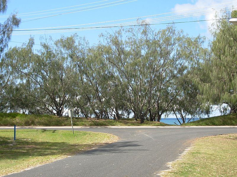 2,565 sq m of Prime Real Estate Picture 2