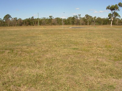 Country Lifestyle close to Beach Picture Country Lifestyle close to Beach Picture
