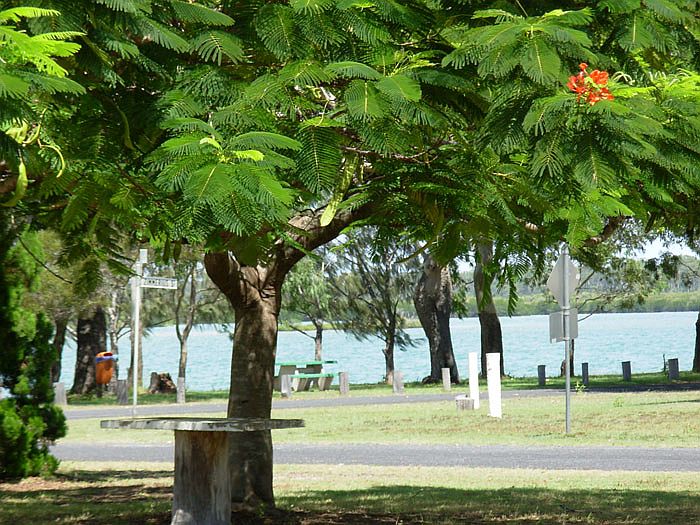 Perfect River Side Retreat
- Fully Furnished + Boat Picture 1