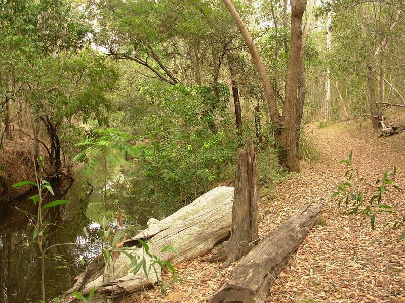 A Natural Lifestyle set within Tranquil Parkland Picture 2