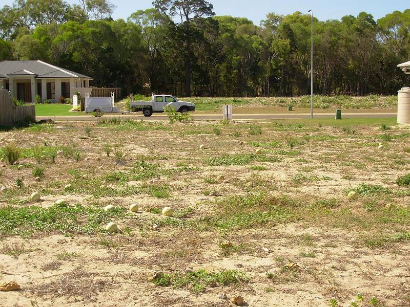 Hop, Skip, Jump - You are on the Beach! Picture 1