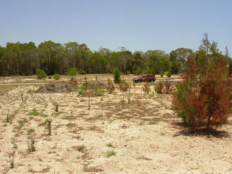 Bargain Time! Picture 3